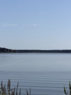 IMG_9521.jpeg