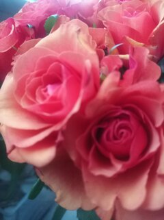 IMG_20260729_204354.jpg