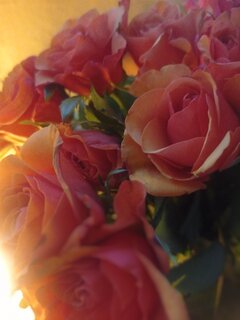 IMG_20260730_051024.jpg