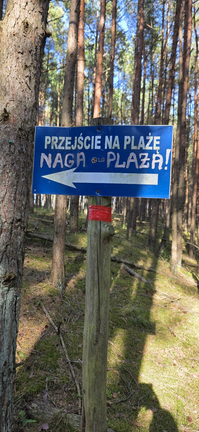 szpilki11