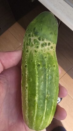 20260729_083657.jpg