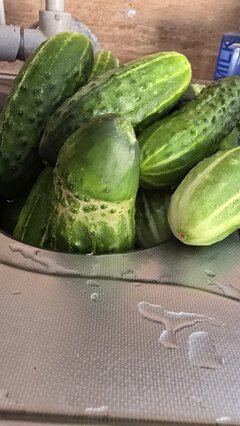 20260729_083640.jpg
