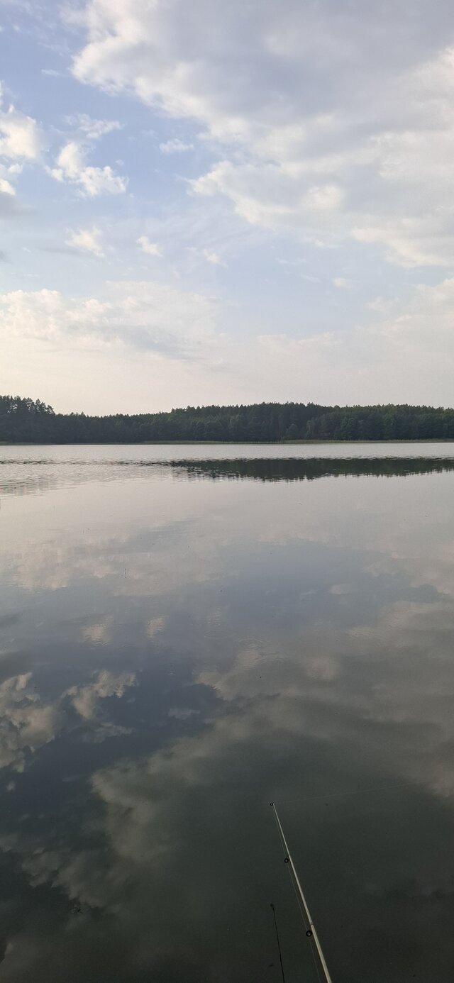 Dyskrecja12