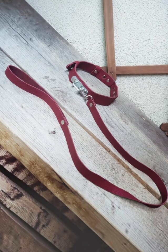 Obroża i smycz - licytacja - MrocznyBokser