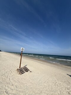 IMG_9194.jpeg