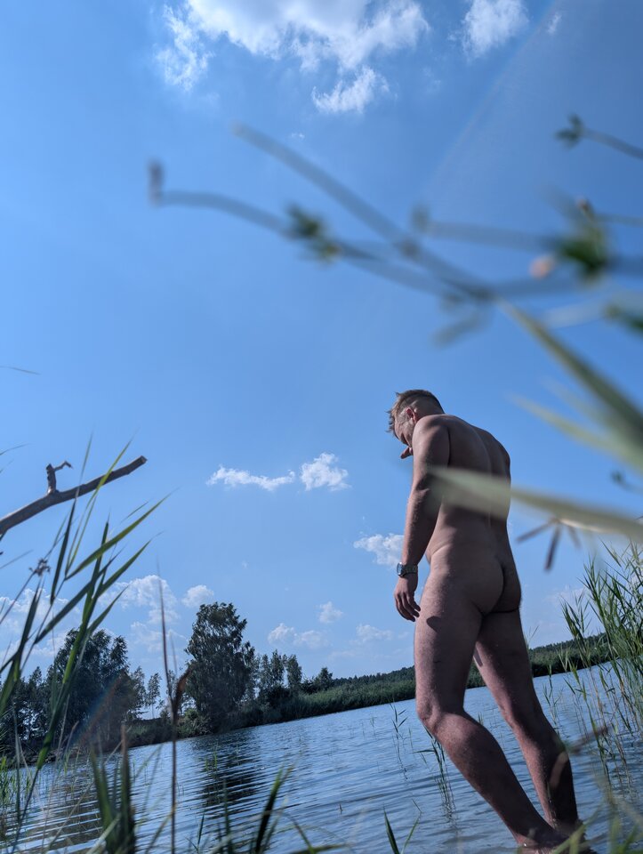8183.jpg - tedd666