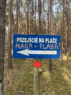 IMG_4205.jpeg