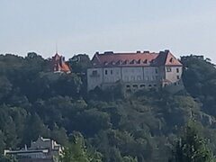20260801_084440.jpg