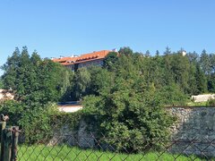 20260726_085247.jpg