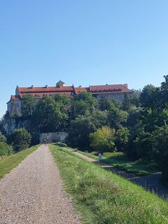 20260726_082443.jpg