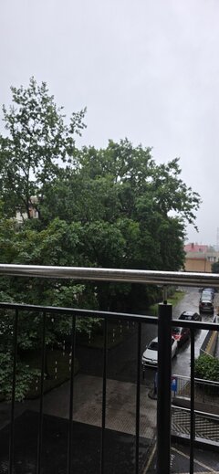 20260801_105822.jpg