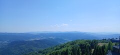 25171.jpg