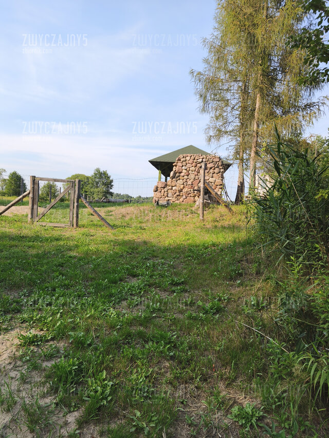Zwyczajny5