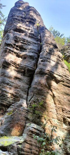 1000021363.jpg