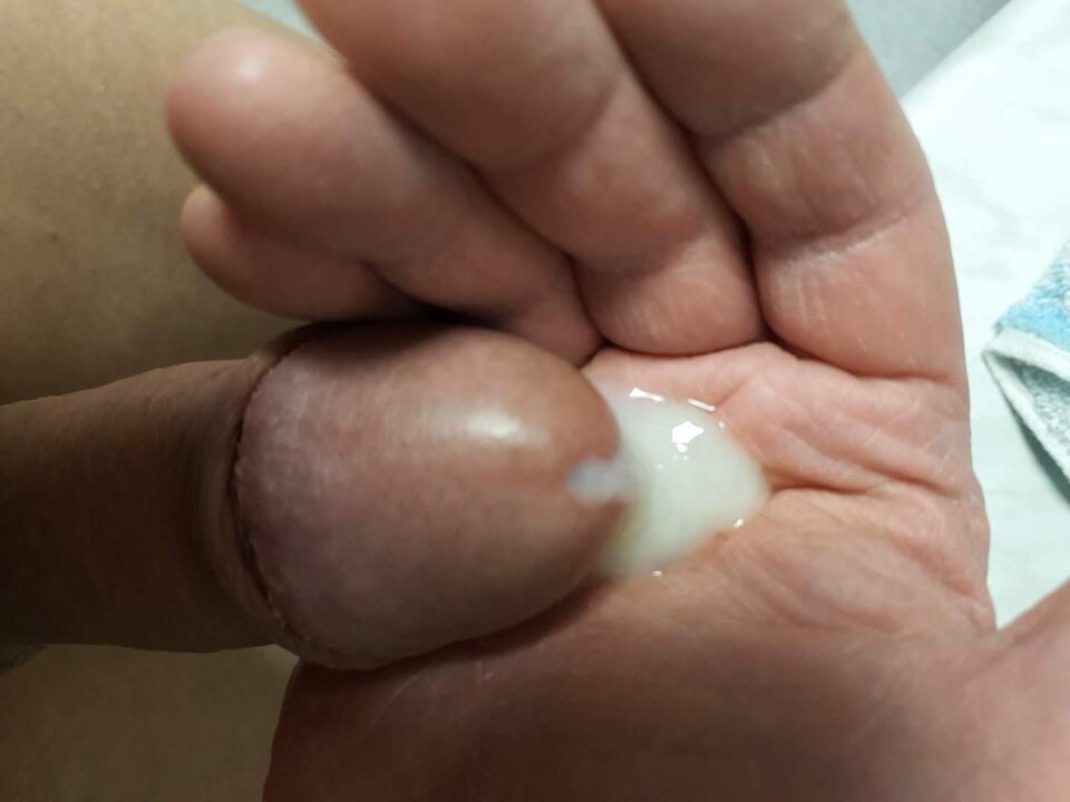 20260731_202850_capture.jpg - Whitelittlecock