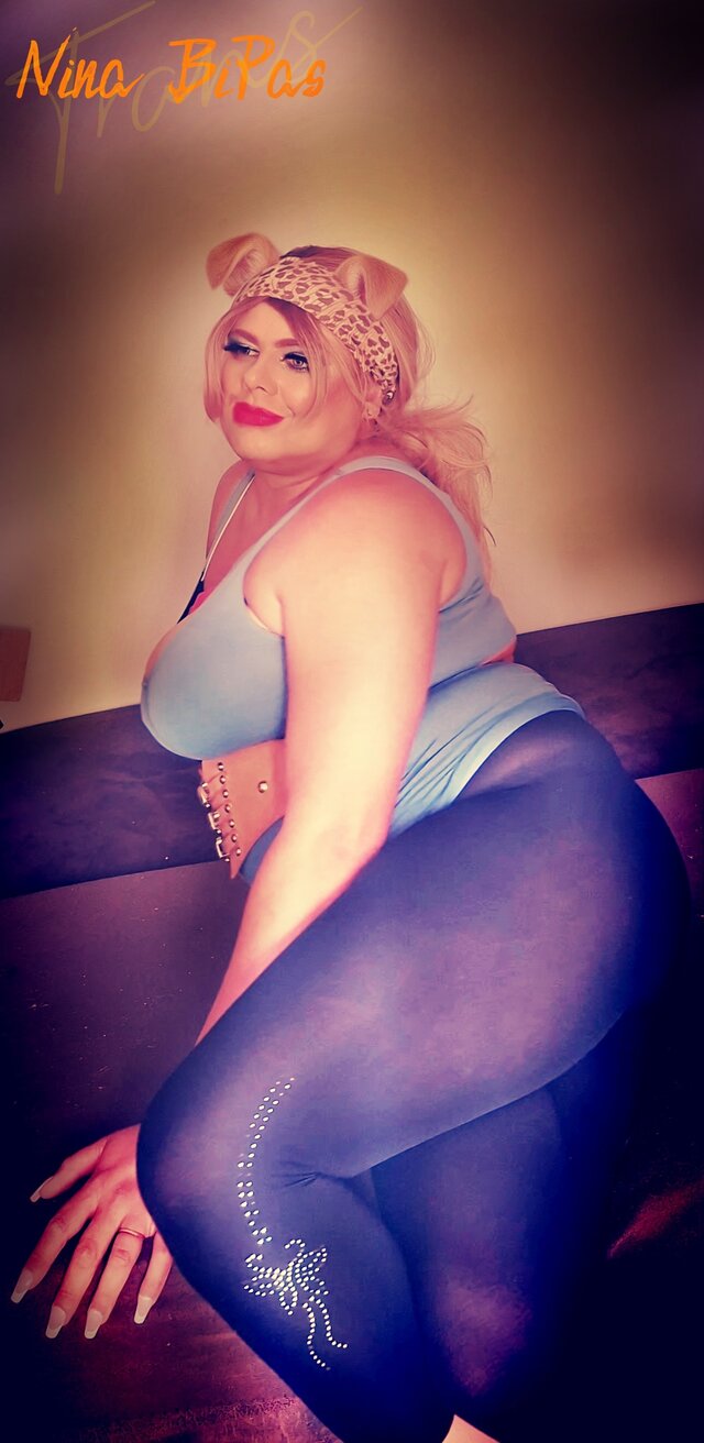 NinaTransCD