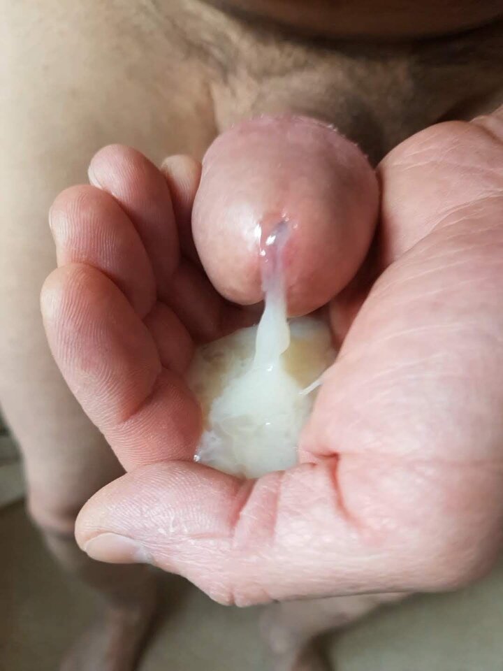 big_f7da64c3cebc5ff4cb0a74299af46af8.jpg - Whitelittlecock