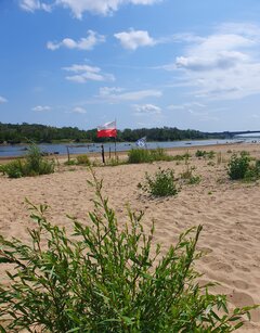 20260803_122621.jpg