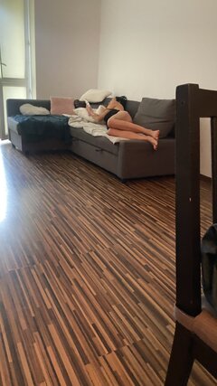 IMG_2211.jpeg