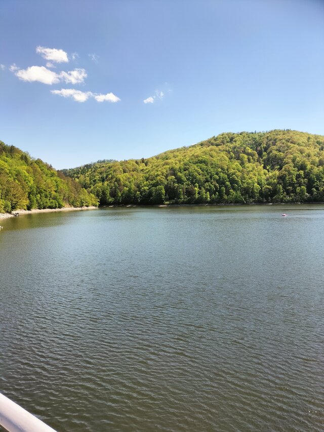 Mileneusz