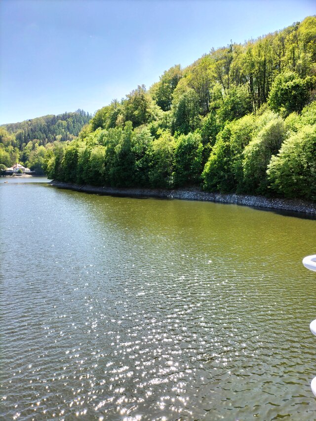 Mileneusz