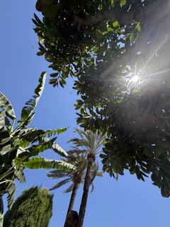 IMG_1528.jpeg