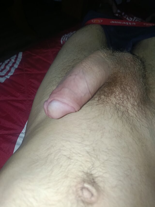pldarek