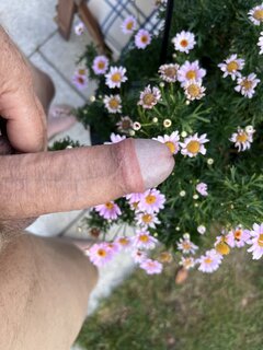 IMG_0338.jpeg
