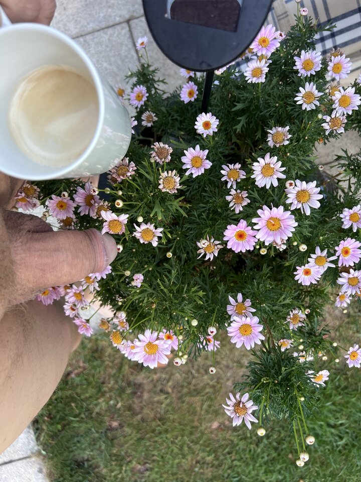 IMG_0339.jpeg - nrw670n