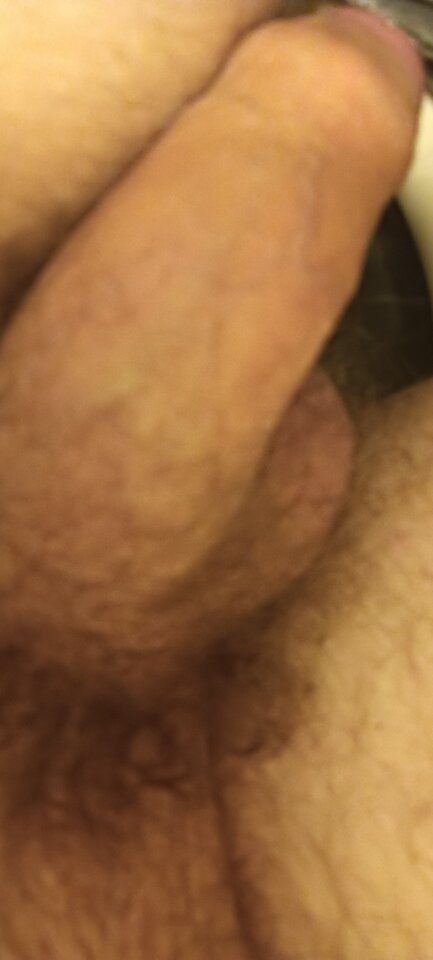 1000001048.jpg - KotBad