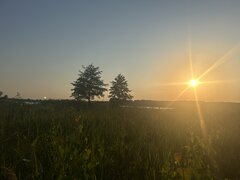 IMG_0374.jpeg