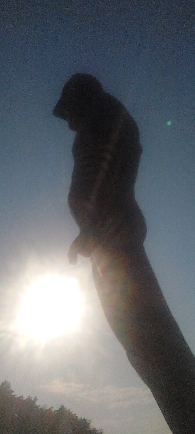 Gajor01