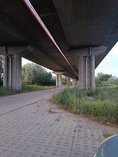 1000024774.jpg