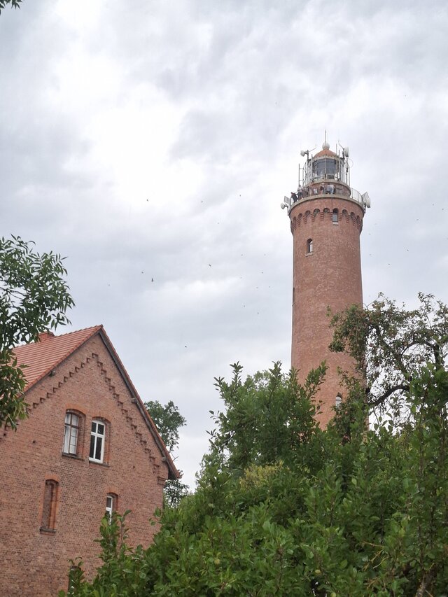 przytulas157