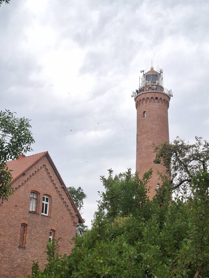 1000006534.jpg - przytulas157