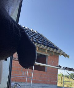 IMG_4187.jpeg