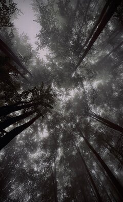 🌳