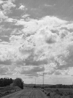 20260807_154207.jpg