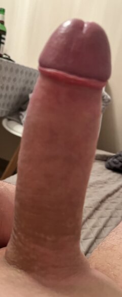 IMG_2151.jpeg