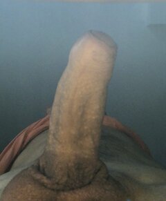 IMG_3449.jpeg
