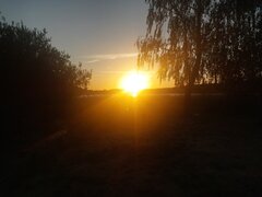 20260807_201111.jpg