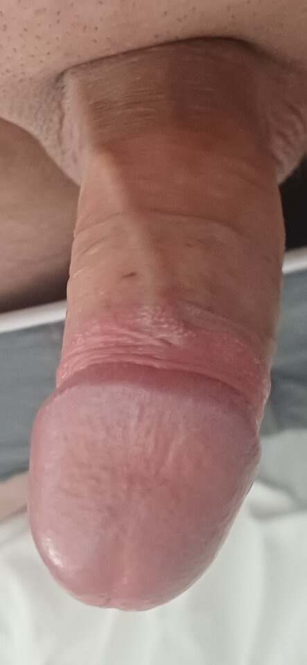 1000091667.jpg - Pento1231