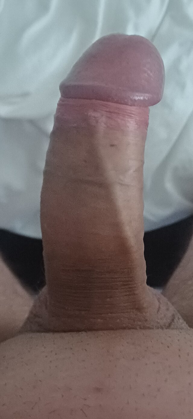 Pento1231