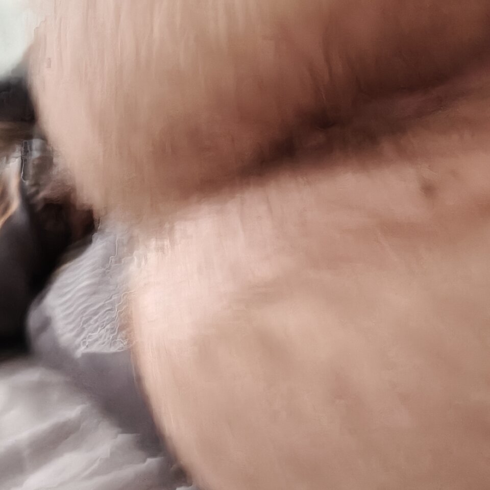 11765.jpg - Spermawusta
