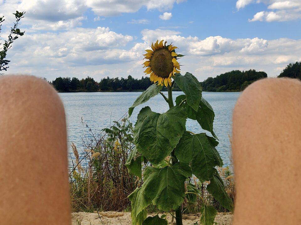 1000051821.jpg - jaszczur81