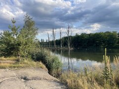 IMG_5177.jpeg