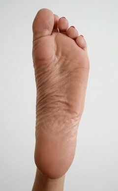 1000081040.jpg