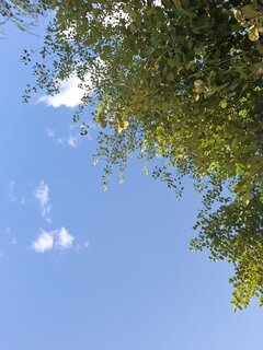 20260808_175404.jpg