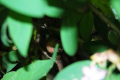 DSC_2786.jpg