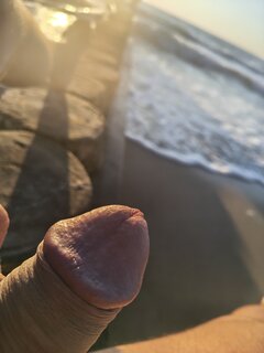 1000017246.jpg